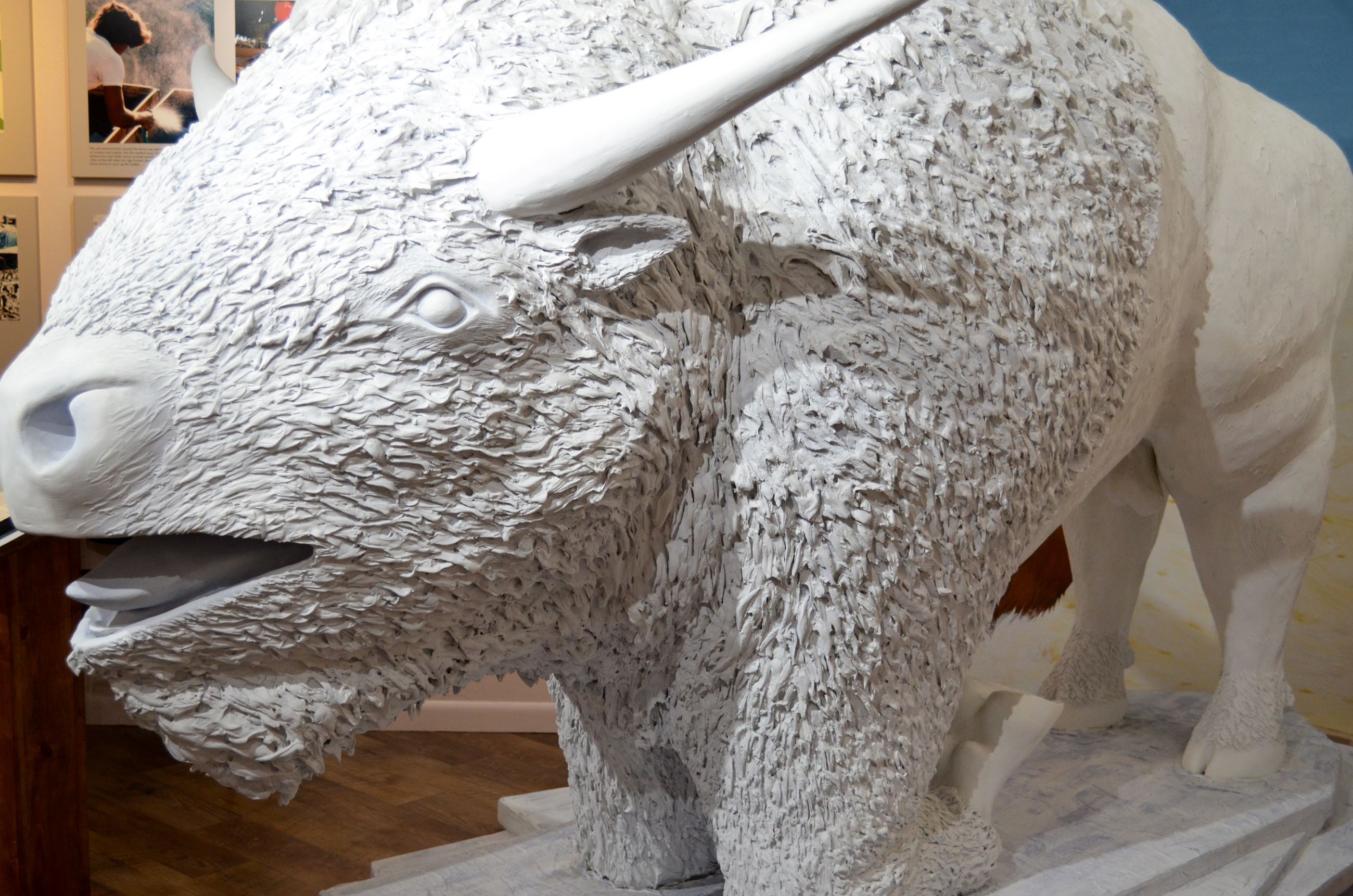 Archaeology Exhibit (1)